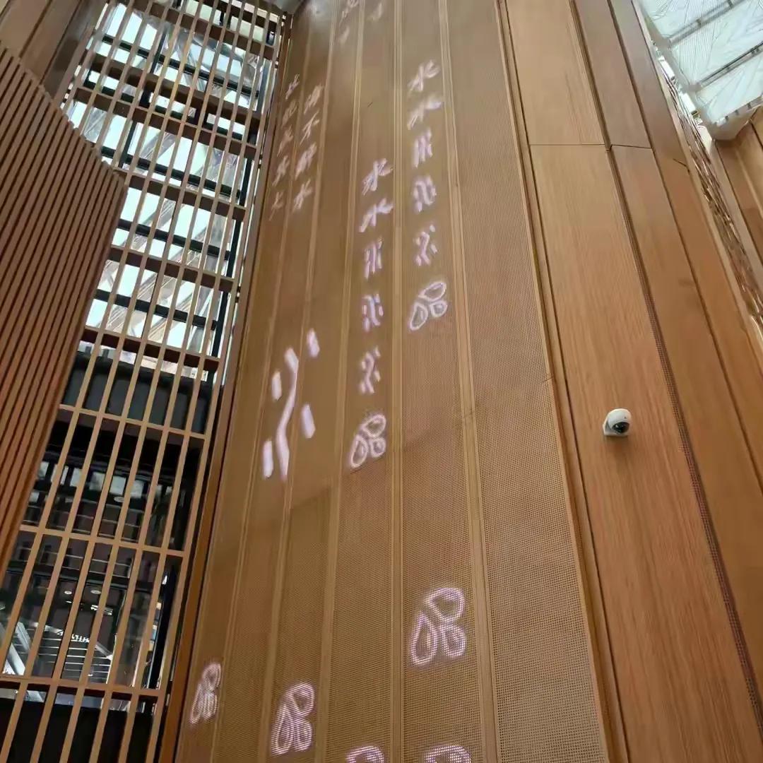 2025大阪世博会：中国馆魅力四射，吸引全球目光