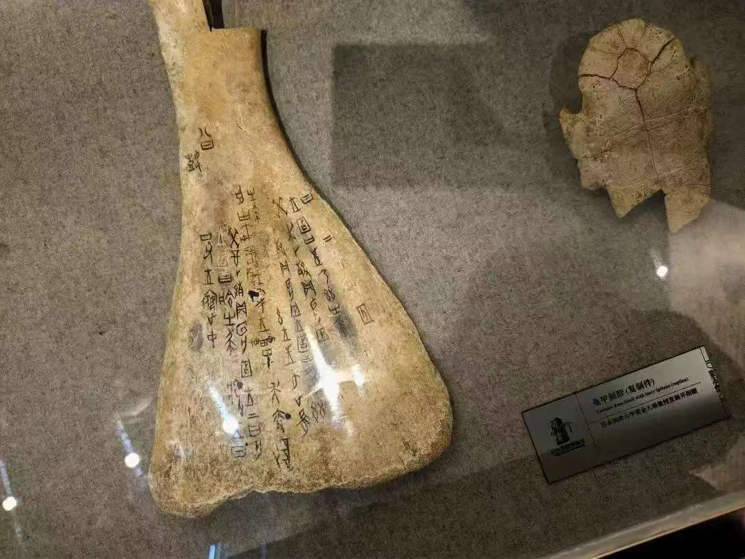 长沙简牍博物馆见证、守护、传承简牍的故事——读取楚汉文化的千年“存储卡”