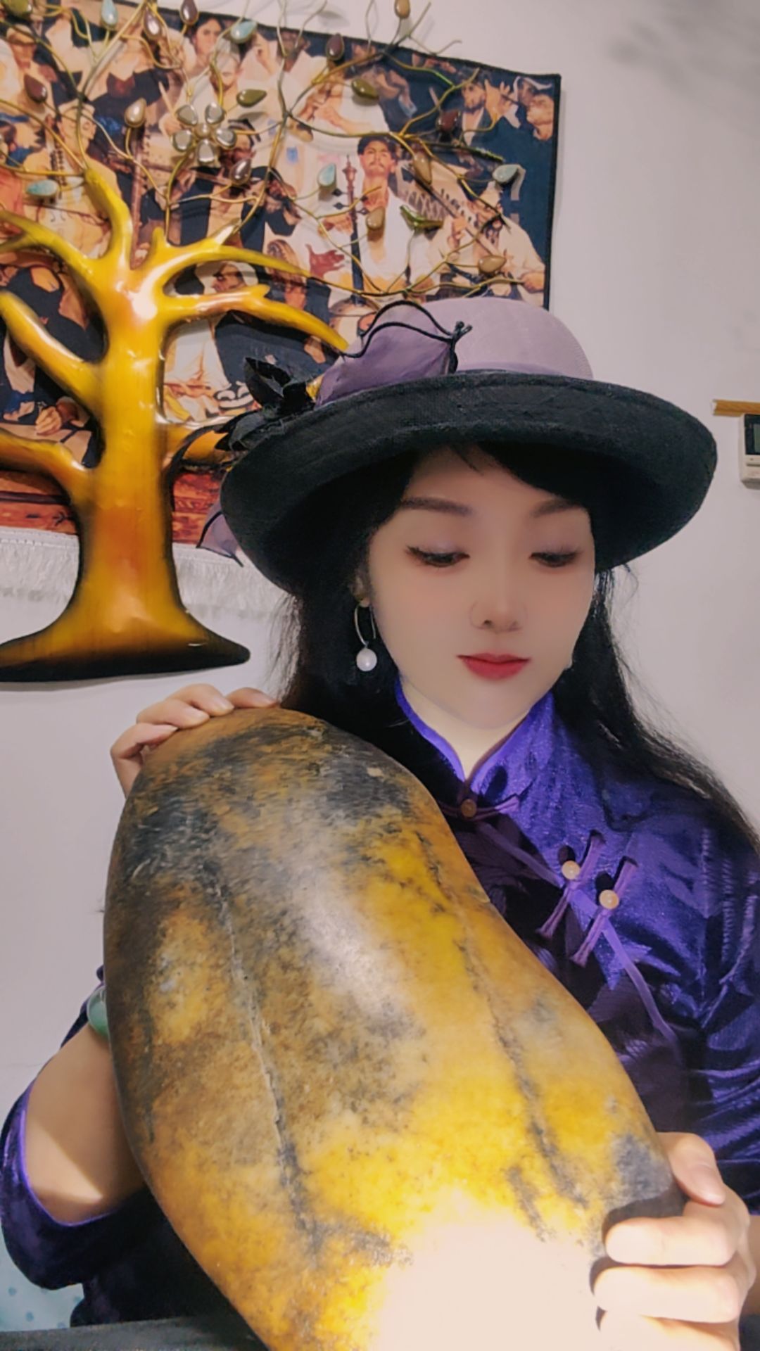 柴露芪
